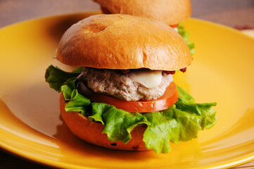 Appetizing burger on yellow plate close up. Meat, vegetables, tomato, lettuce, wheat bun