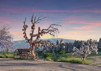 Tree Of Wishes in Cappadocia, Central Anatolia, Turkey. Nevsehir, Goreme National park.