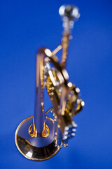 Golden trumpet on blue background.