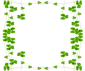 green clover leaves isolated on white background. St.Patrick 's Day