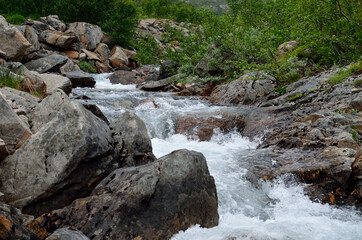 Naklejka na ściany i meble small mountain stream in summertime