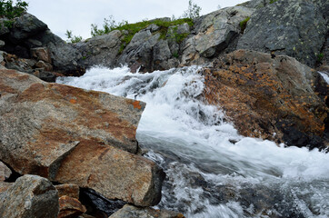 beautiful clean and fresh mountain stream in summer