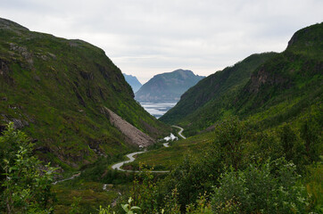 green lush mountain valley with majestic mountain and fjord