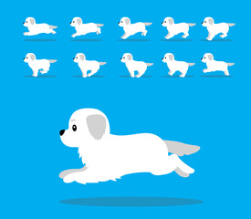 Animal Animation Sequence Dog Great Pyrenees Cartoon Vector