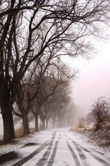 Fototapeta premium landscape photography around europe