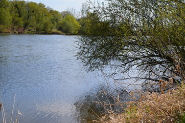Brzegi Odry we Wrocławiu w okolicy ZOO wczesną wiosną