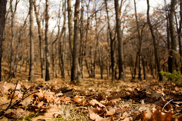 landscape photography around europe.