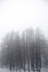 landscape photography around europe.