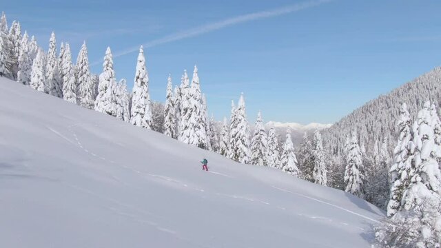 AERIAL: Spectacular pristine white snow covered scenery surrounds unrecognizable ski tourer making her way up a mountain. Fit young female splitboarder hikes up a snowy meadow on a sunny winter day.
