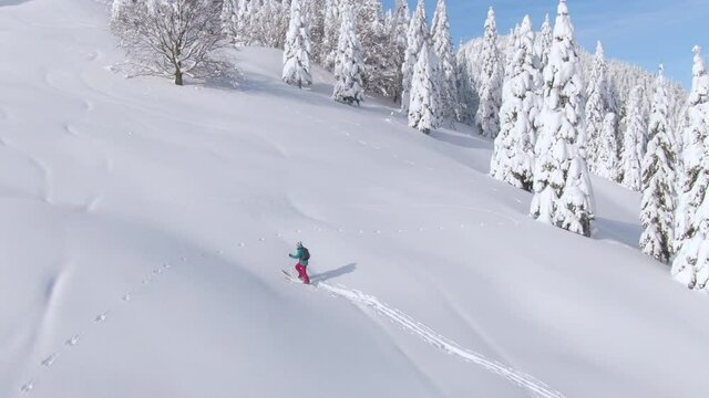 DRONE: Fit female tourist ski touring in picturesque snowy Bohinj hikes up a mountain. Woman splitboarding in the Julian Alps is powder chasing on a sunny winter day. Spectacular wintry landscape.