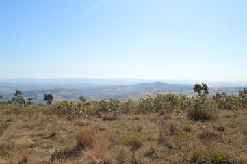 landscape in the desert