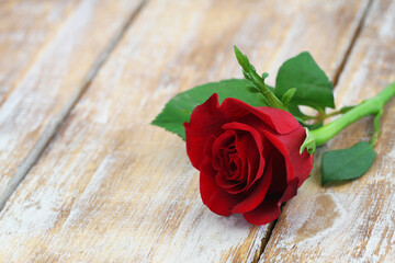 Beautiful red rose on rustic wooden surface with copy space
