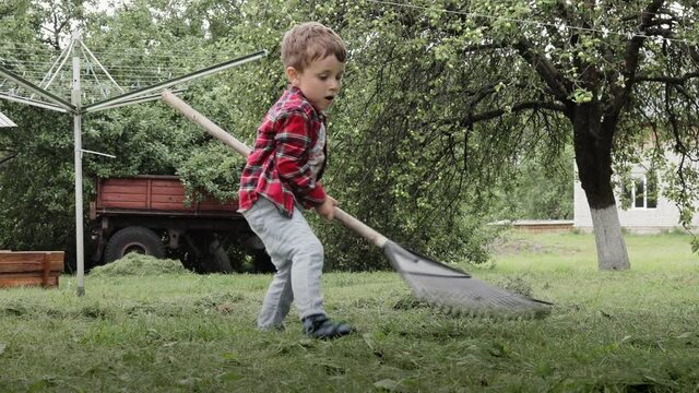 Little boy raking freshly mown grass in garden