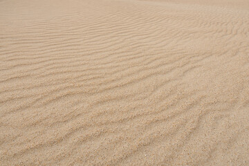 Fototapeta na wymiar Sand texture pattern of the dunes near Baelo Claudia near Tarifa, Spain