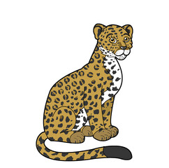 Funny jaguar in cartoon style. No background. 
