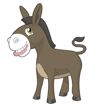 Funny donkey in cartoon style. No background. 