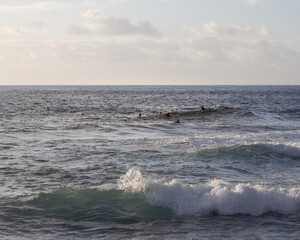 Surfers in Tenerife
