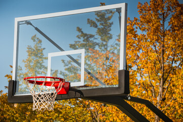 Basketball hoop with net in autumn park