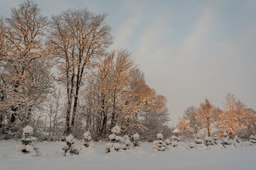 Obraz na płótnie Canvas View to winter landscape.