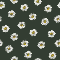 Daisy flower vector seamless pattern