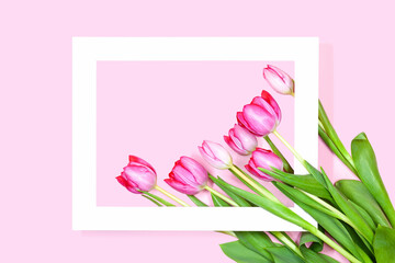 Obraz premium Beautiful Tulip flowers Arrangement in white horizontal springtime frame with blank space on pink pastel background. Tulpis for Mothers day, Valentines Day, Birthday Greeting card