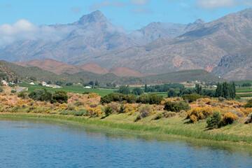 Fototapeta na wymiar Rural landscape of farmland against a backdrop of mountains, Western Cape, South Africa.
