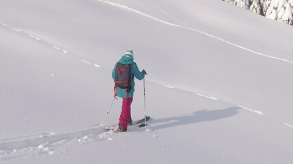 AERIAL: Young woman hikes in the pristine white countryside to splitboard off piste in scenic Julian Alps. Active female tourist on ski touring vacation in rural Slovenia hikes in deep powder snow.