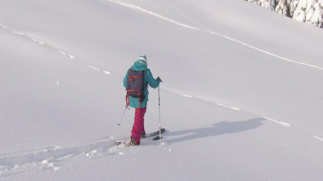 AERIAL: Young woman hikes in the pristine white countryside to splitboard off piste in scenic Julian Alps. Active female tourist on ski touring vacation in rural Slovenia hikes in deep powder snow.