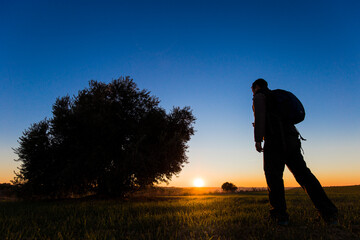 Hombre caminando hacia un olivo