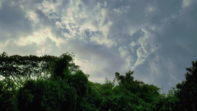 Stormy day 4K footage in a rainy day in the North India.