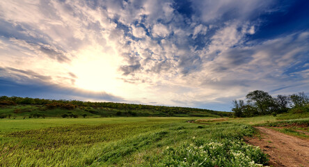 Obraz premium Green meadows and path under a blue sky with clouds in the sunlight.