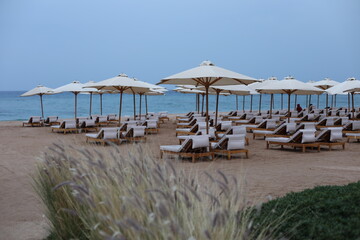 beach umbrellas and chairs