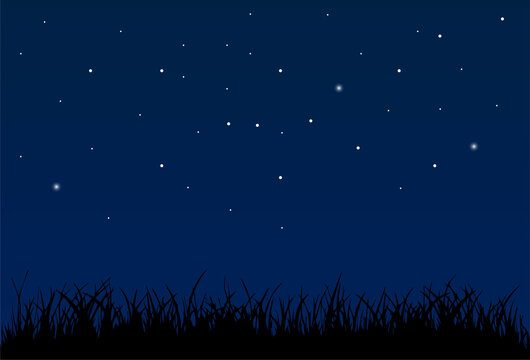 Night sky background with stars and grass silhouette