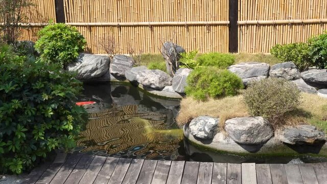 Beautiful landscaping of creative garden water pond with gold and Koi fishes