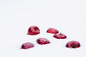 Red apples on the snow background.