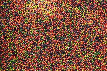 ripe pepper from top view  - a view of ripped pepper with red and green colors in coorg, Karnataka.