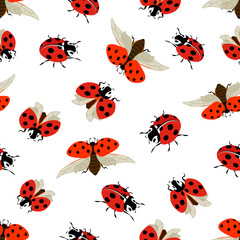 Naklejka na ściany i meble Pattern with ladybirds on a white background.Ladybugs on a white background in a colored seamless pattern.