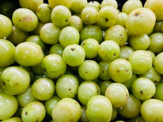 Collection of fresh green ripe gooseberries or amla, ready to eat - healthy organic fruit diet