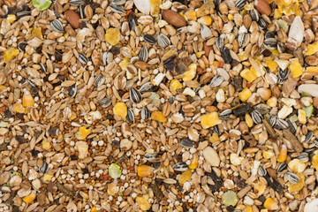 A mixture of cereals for feeding pets. Close-up, top view