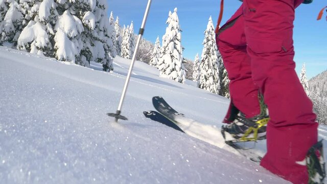 SLOW MOTION, LOW ANGLE, CLOSE UP: Fit woman hikes in deep snow while ski touring in the Julian Alps. Female tourist splitboards in the idyllic backcountry covered in glistening fresh powder snow.