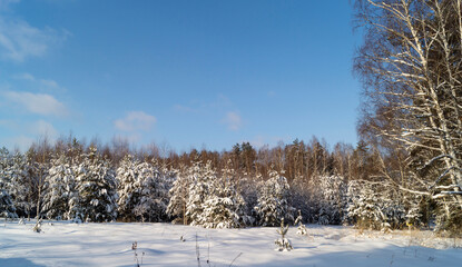 Winter landscape with wood on background sky with cloud