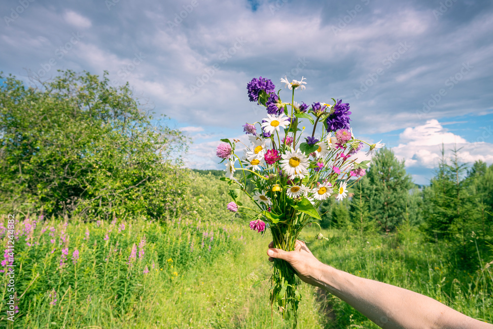 Wall mural a bouquet of wild flowers in your hand on the background of the river and the sky with clouds.