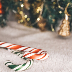 Christmas background with Christmas tree 