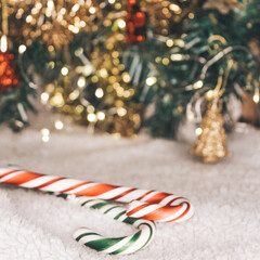 Christmas background with Christmas tree 