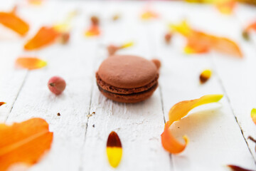 Brown macarons on white background with plant leaves and flowers