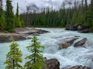 mountain river in the forest