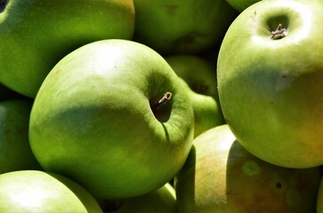 green apples on the table