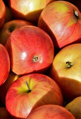 red apples background