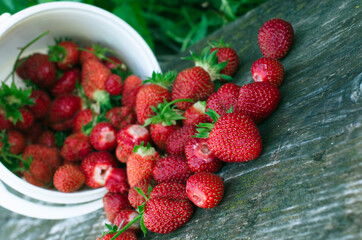 Ripe strawberries. The most delicious berries. Juicy berries. The harvested crop.