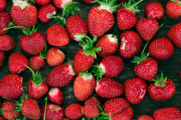 Ripe strawberries. The most delicious berries. Juicy berries. The harvested crop.